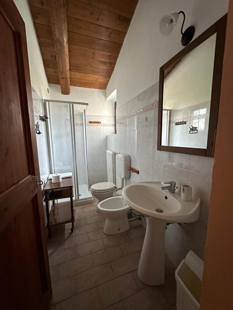 Shower, Toilet, Bathroom, bidet, towels