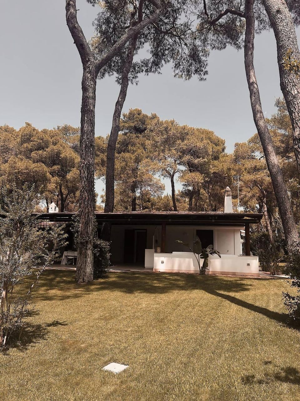 Villa Kalimera Villa in Province of Taranto