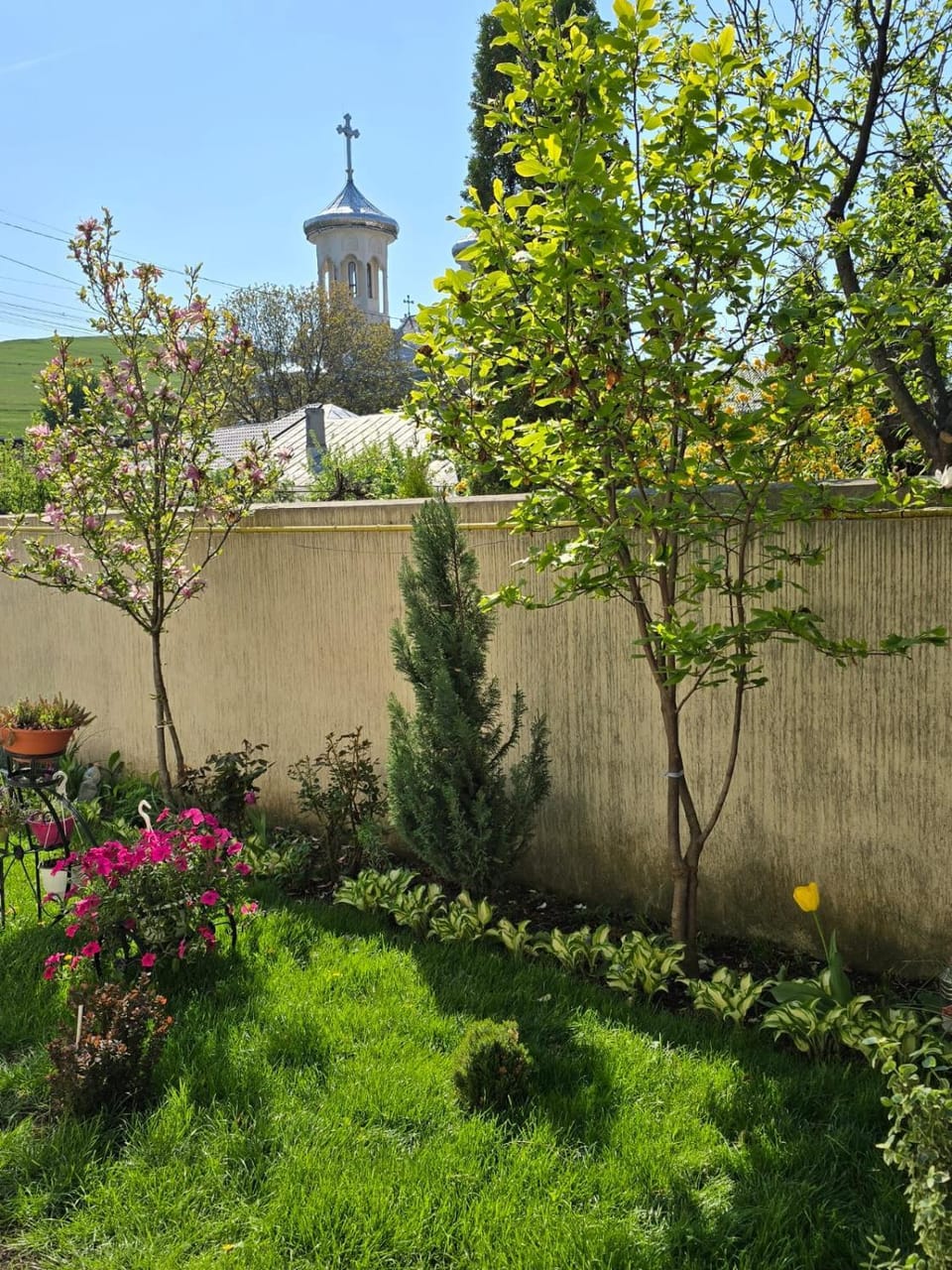 Spring, Garden, Garden view