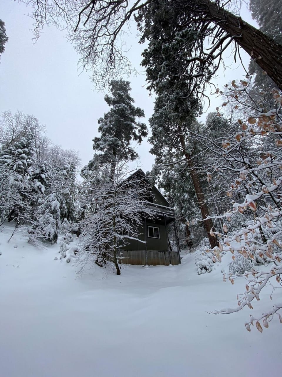 Natural landscape, Winter
