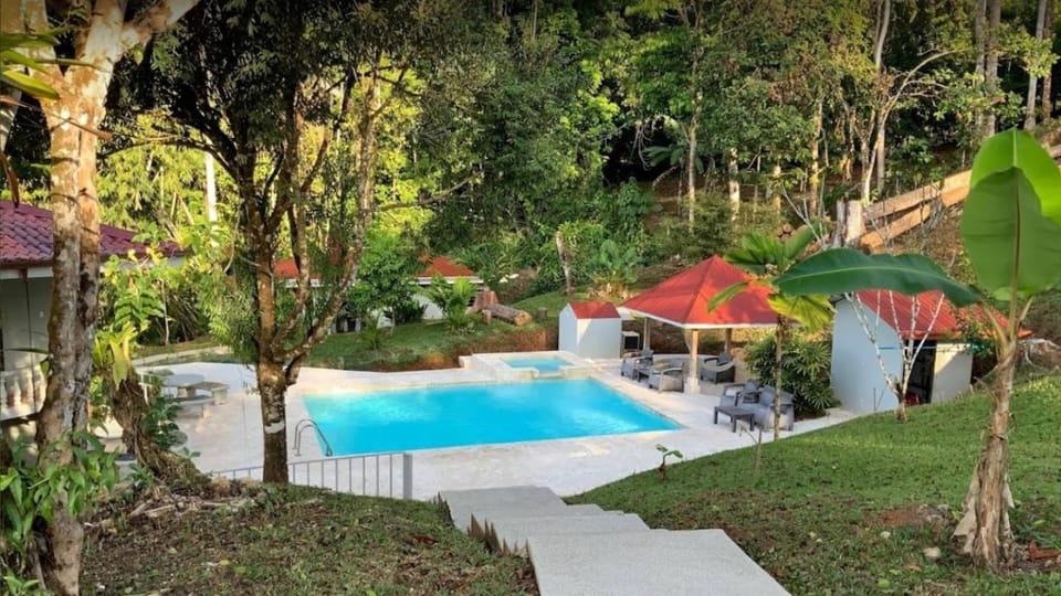 Day, Natural landscape, Hot Tub, Garden view, Pool view, Swimming pool, sunbed