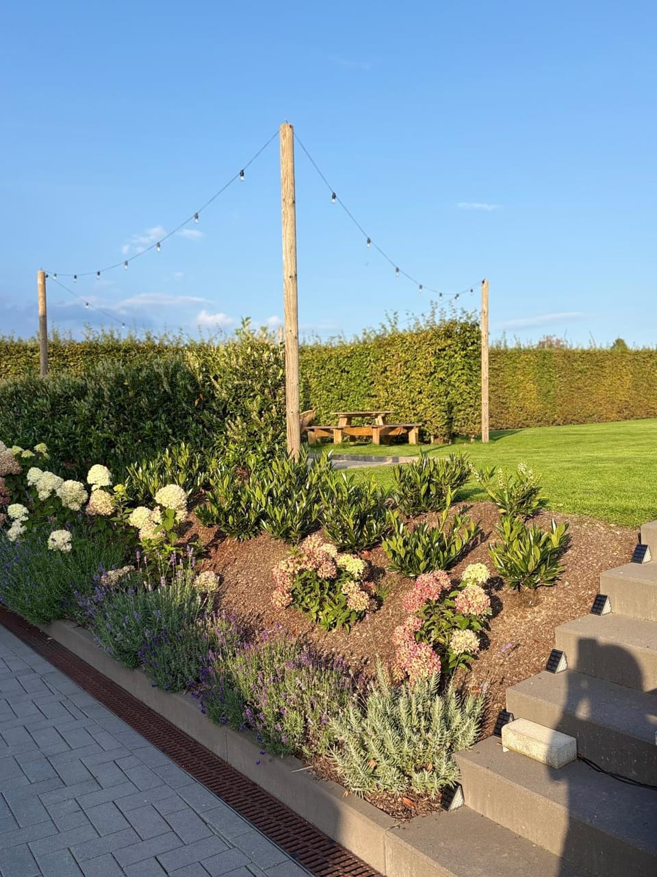 Day, Natural landscape, Garden, Garden view