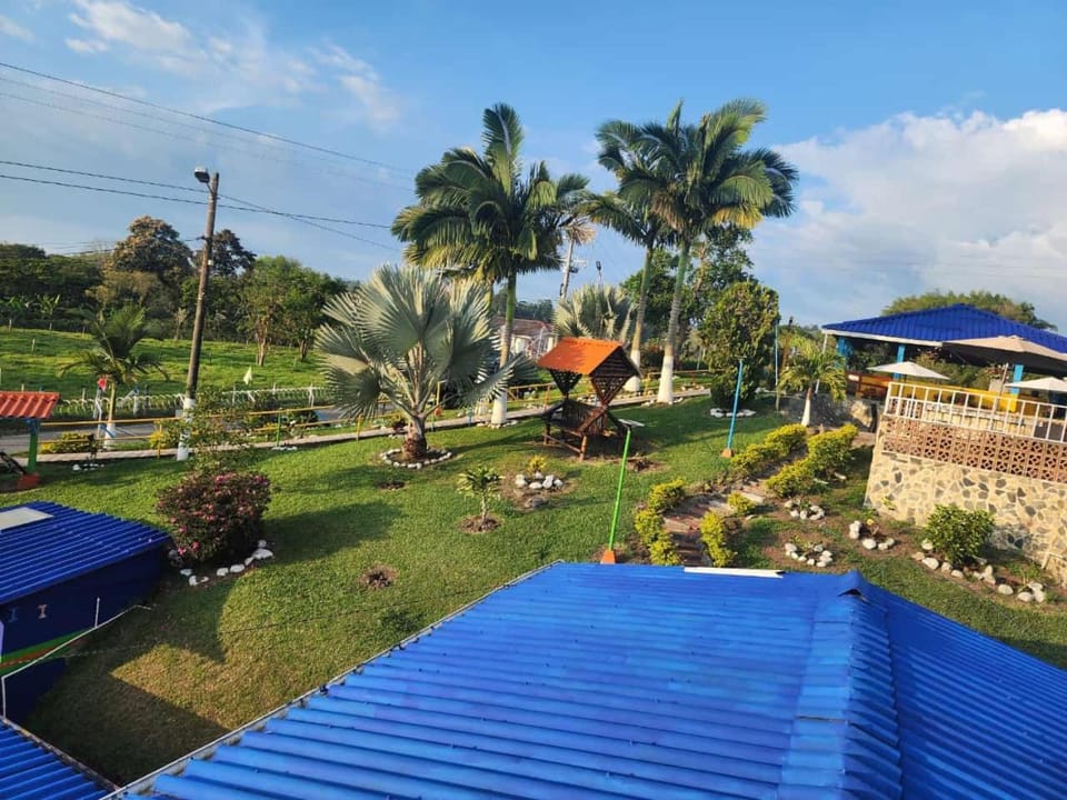 Day, Natural landscape, Garden