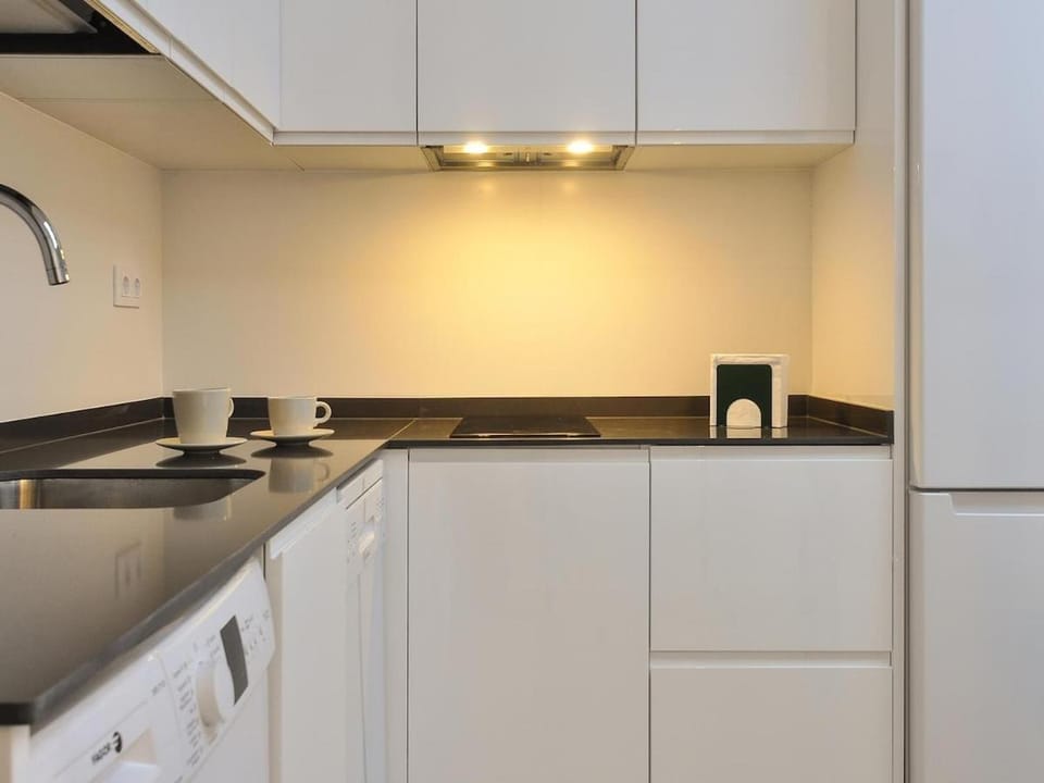 Apartment Bravo Murillo 2 rooms near Bernabeu Apartment in Madrid