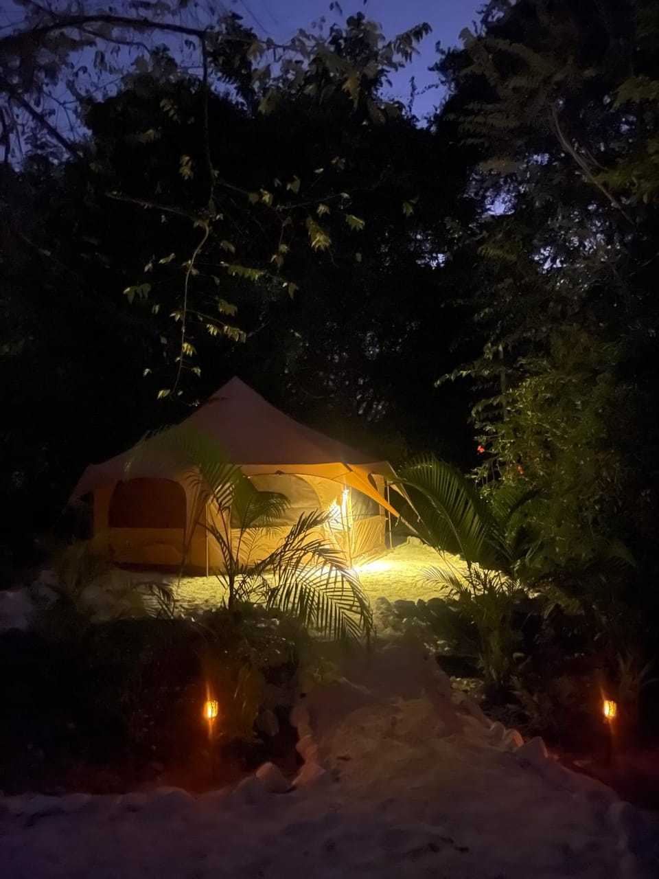 Night, Natural landscape, Garden, Garden view