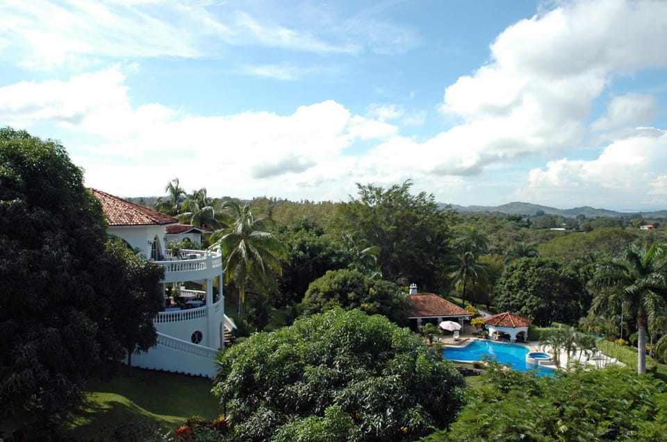 Bird's eye view, Garden