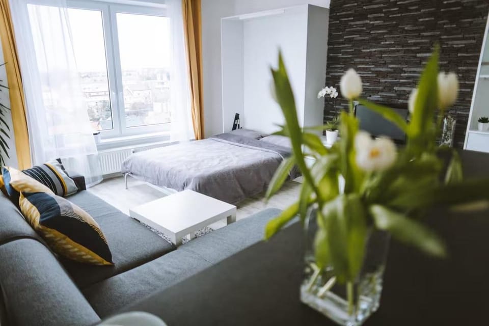 City Studio Apartment Apartment in Slovakia