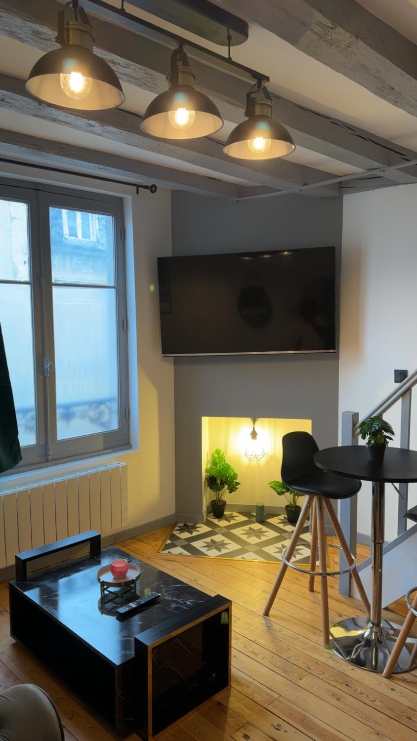 Le Gris métal, T2 duplex, centre ville historique Apartment in Bourges