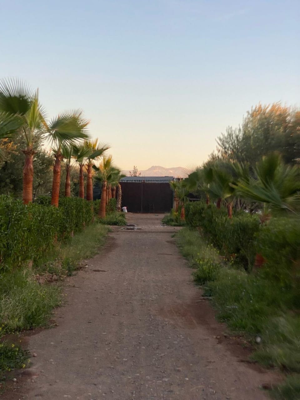 Waha hassan 2 House in Marrakesh