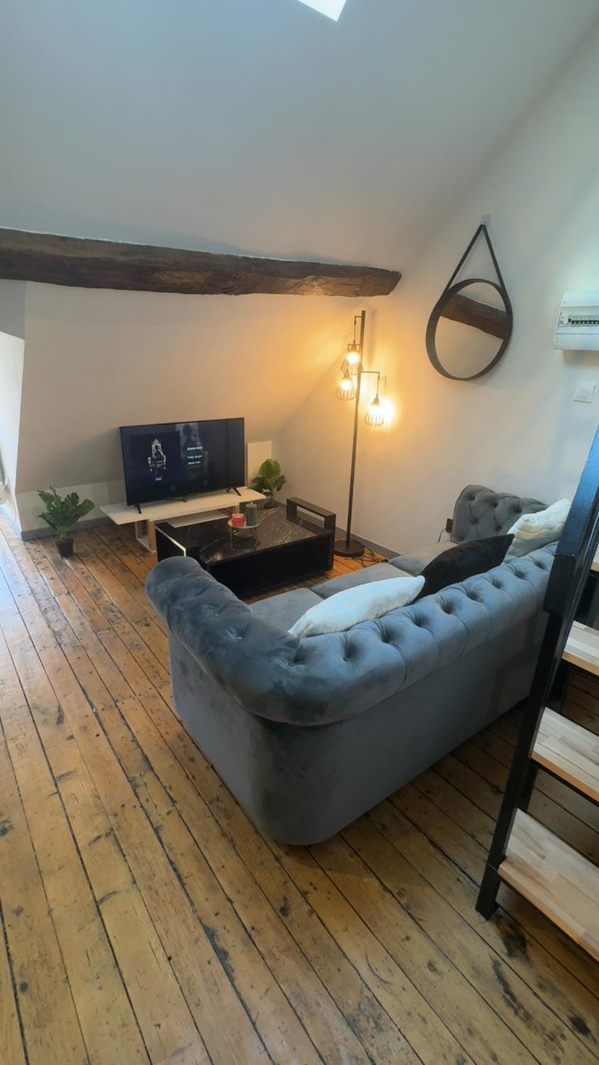 Le Loft, T2 duplex centre ville historique Apartment in Bourges
