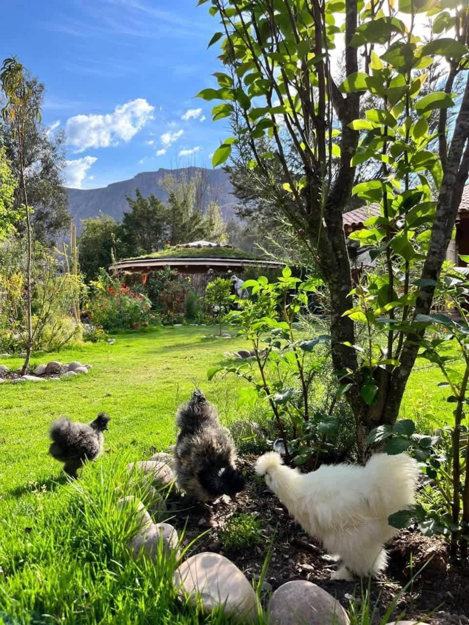 Stunning 1BR House in Camino Real House in Urubamba
