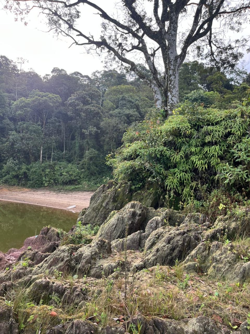 Suíte Privativa Campground/ 
RV Resort in Santo André