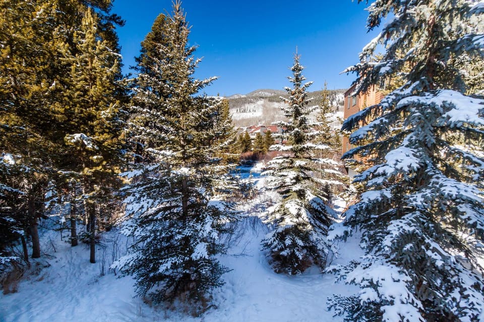 Ironwood #2990 : 2 Apartment in Keystone