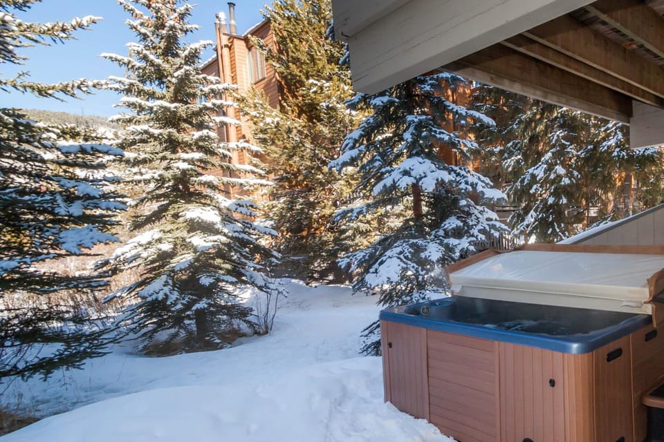 Ironwood #2990 : 2 Apartment in Keystone