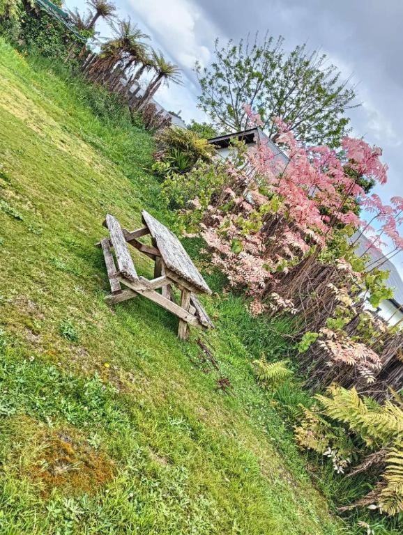 Day, Natural landscape, Garden, Garden, Garden view