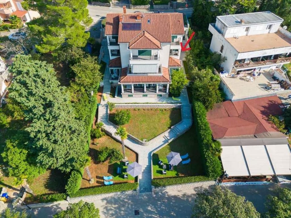 Property building, Bird's eye view, Summer