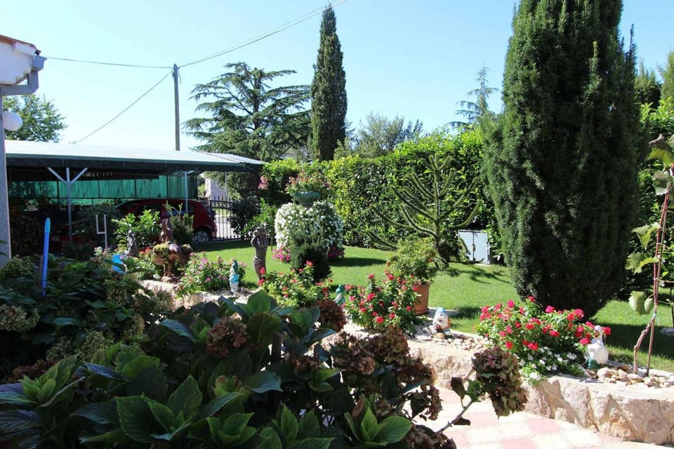 Summer, Garden