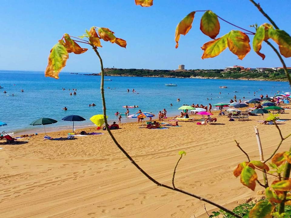 Nearby landmark, Summer, Beach