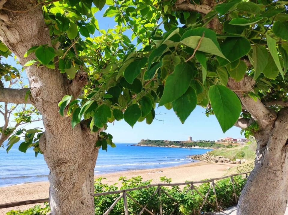 Nearby landmark, Summer, Beach
