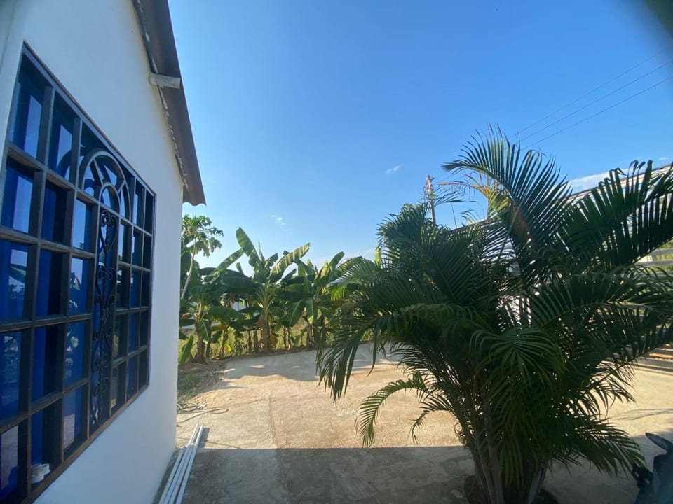 Day, Garden, Garden view