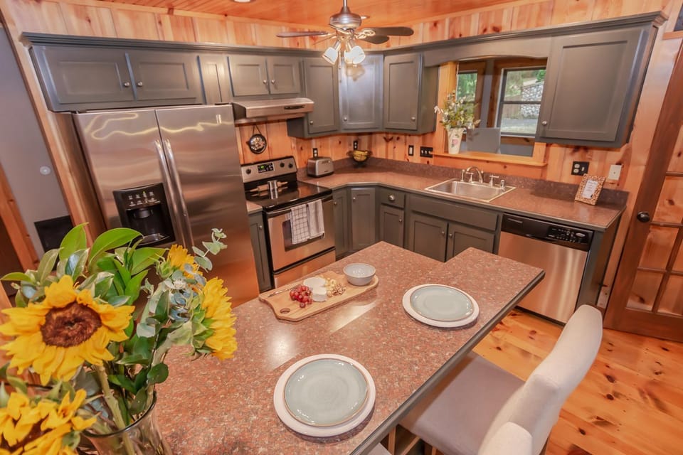 Kitchen or kitchenette, dishwasher, oven, stove