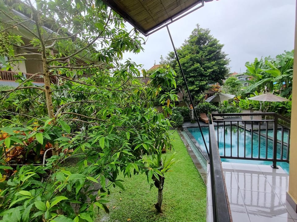 Garden view, Pool view, Swimming pool