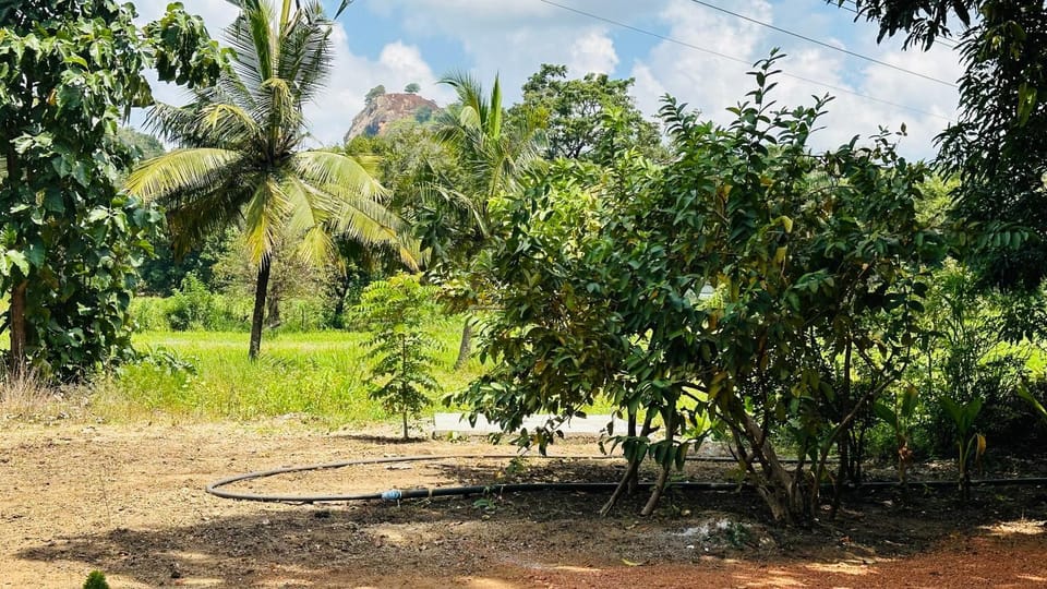 Natural landscape