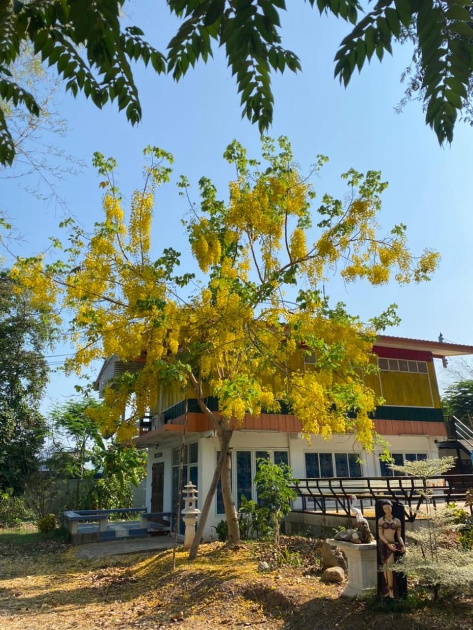 Property building, Spring, Day, Garden view