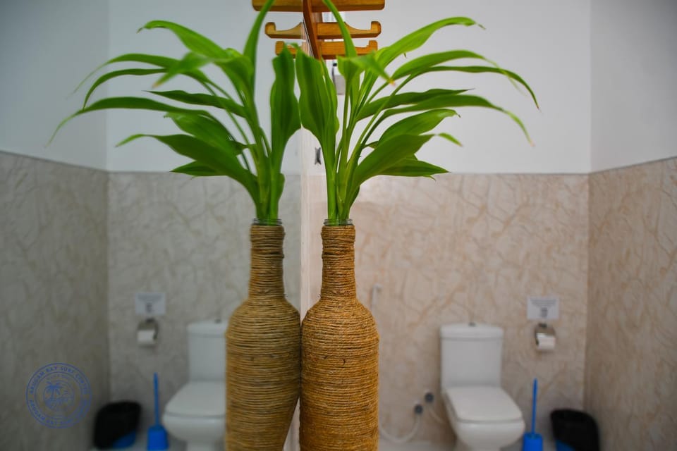 Toilet, Bathroom