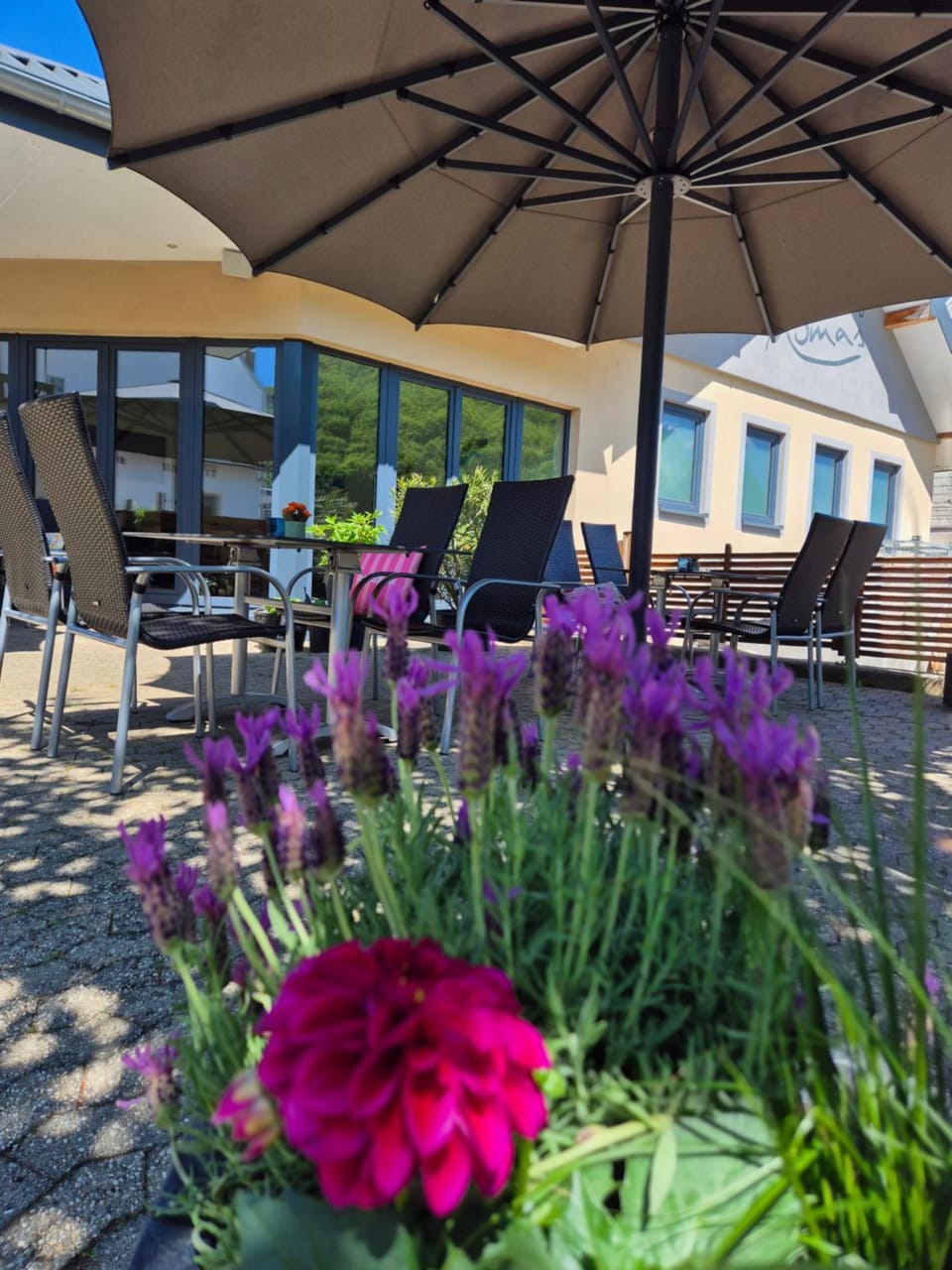 Weinhaus Thomas Bed and Breakfast in Cochem-Zell