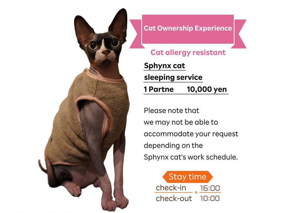 Other, pet friendly