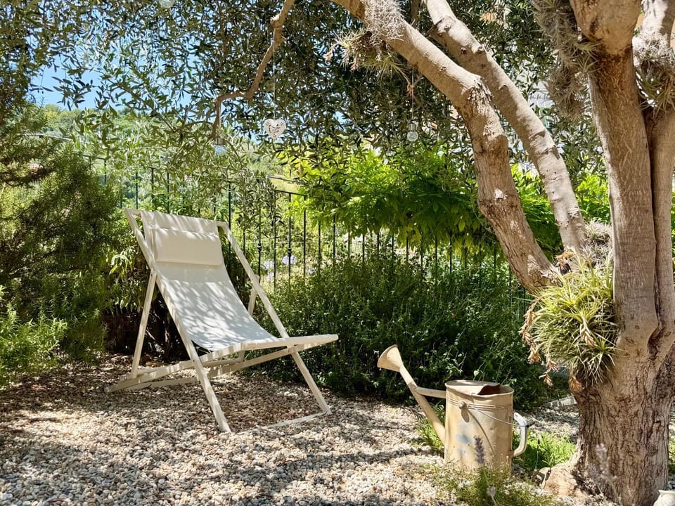 Garden, Garden view, sunbed
