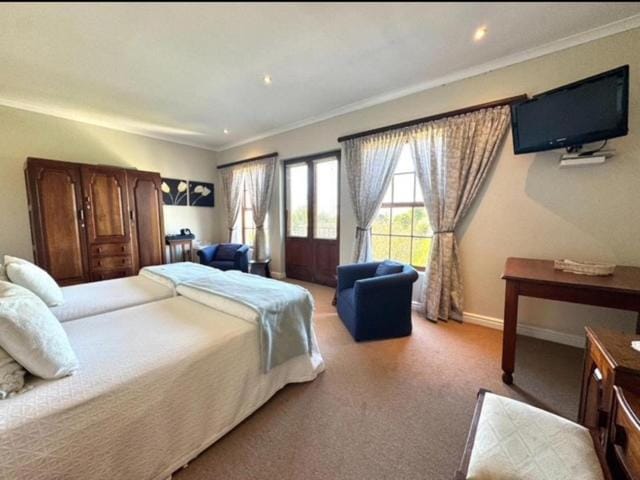 Amanzi Guesthouse Bed and Breakfast in Port Elizabeth