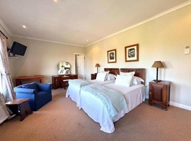 Amanzi Guesthouse Bed and Breakfast in Port Elizabeth
