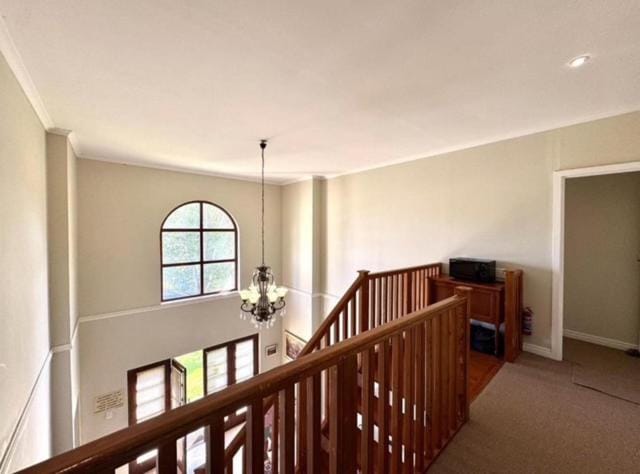 Amanzi Guesthouse Bed and Breakfast in Port Elizabeth