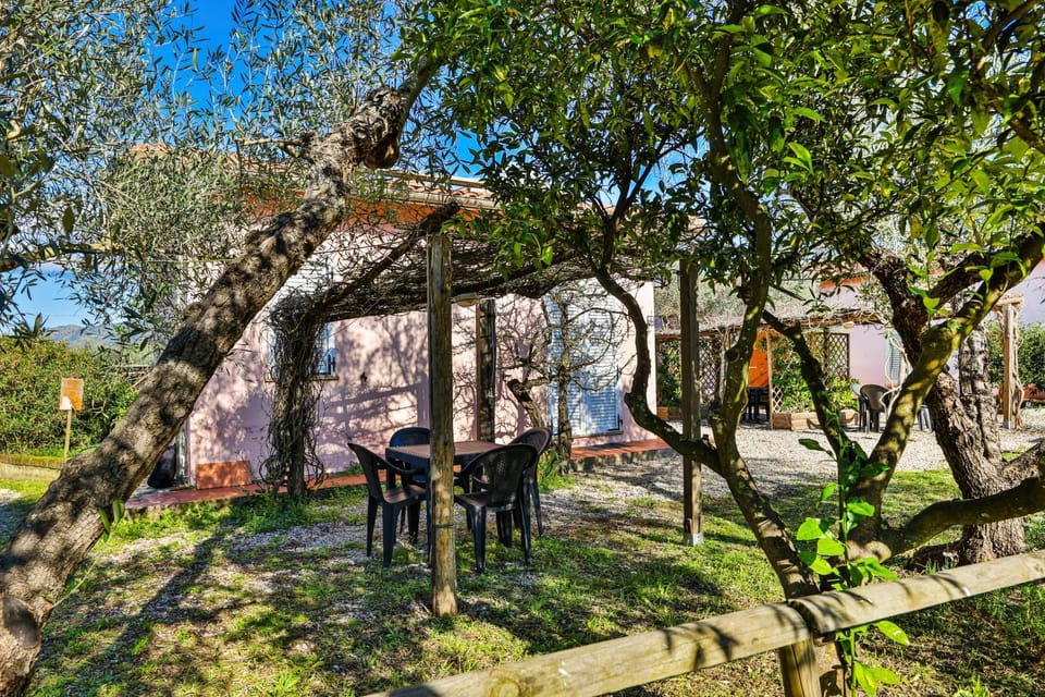 Property building, Patio, Garden view