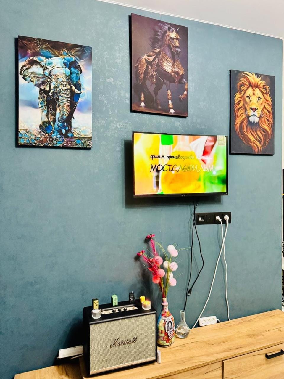 TV and multimedia