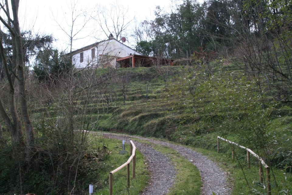 Casa di Campagna in Toscana Villa in Lucca