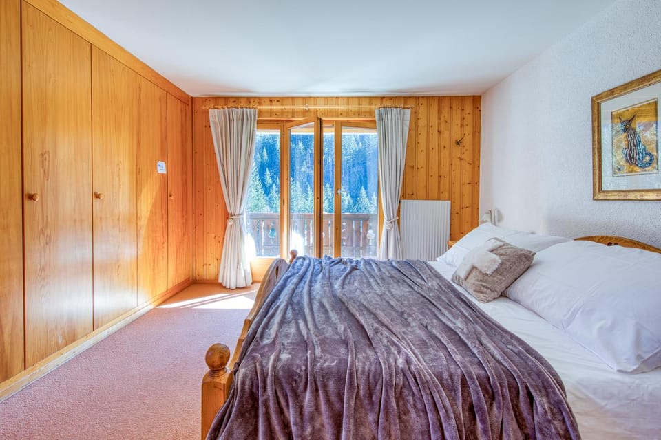 Moulins 8 skylights and chimney Apartment in Haute-Savoie