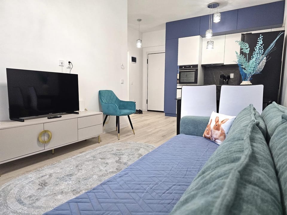 City Cruise Apartment Apartment in Brasov
