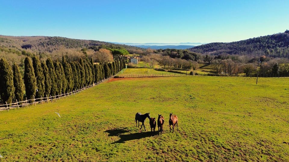 Borgo Cerrecchia Campground/ 
RV Resort in Tuscany