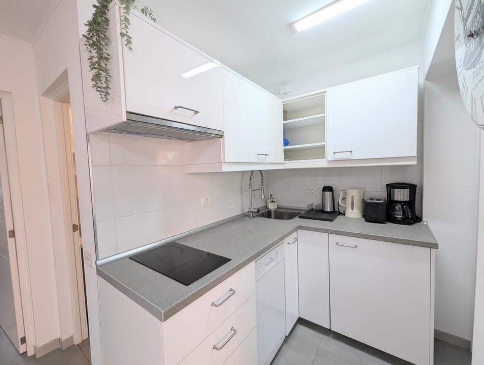 Kitchen or kitchenette, dishwasher, stove