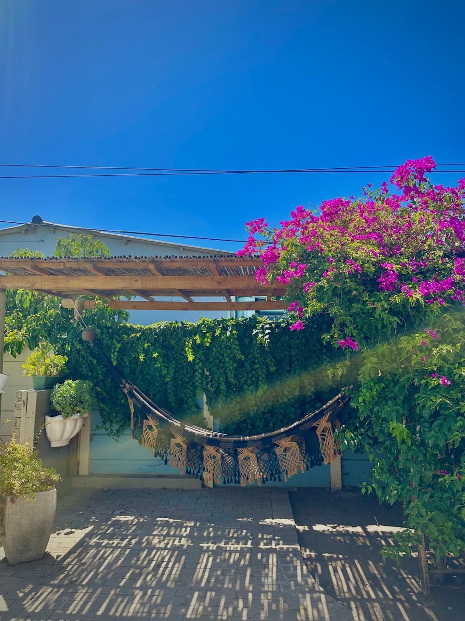 Spring, Garden