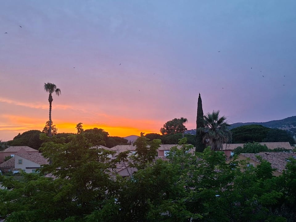 2 pièces terrasse 39m2 à 500m de la plage Apartment in Le Lavandou