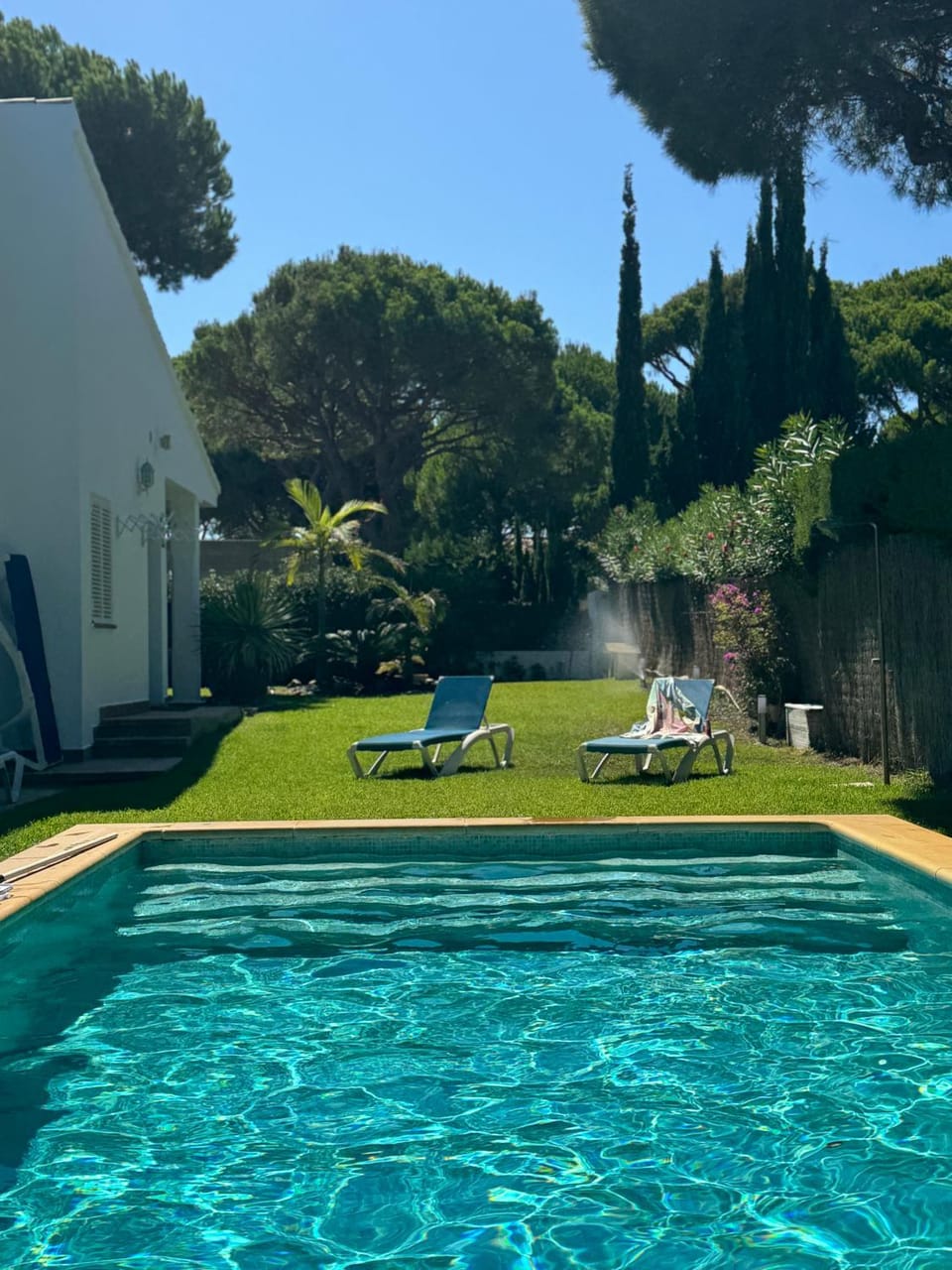 Garden, Garden view, Swimming pool, sunbed