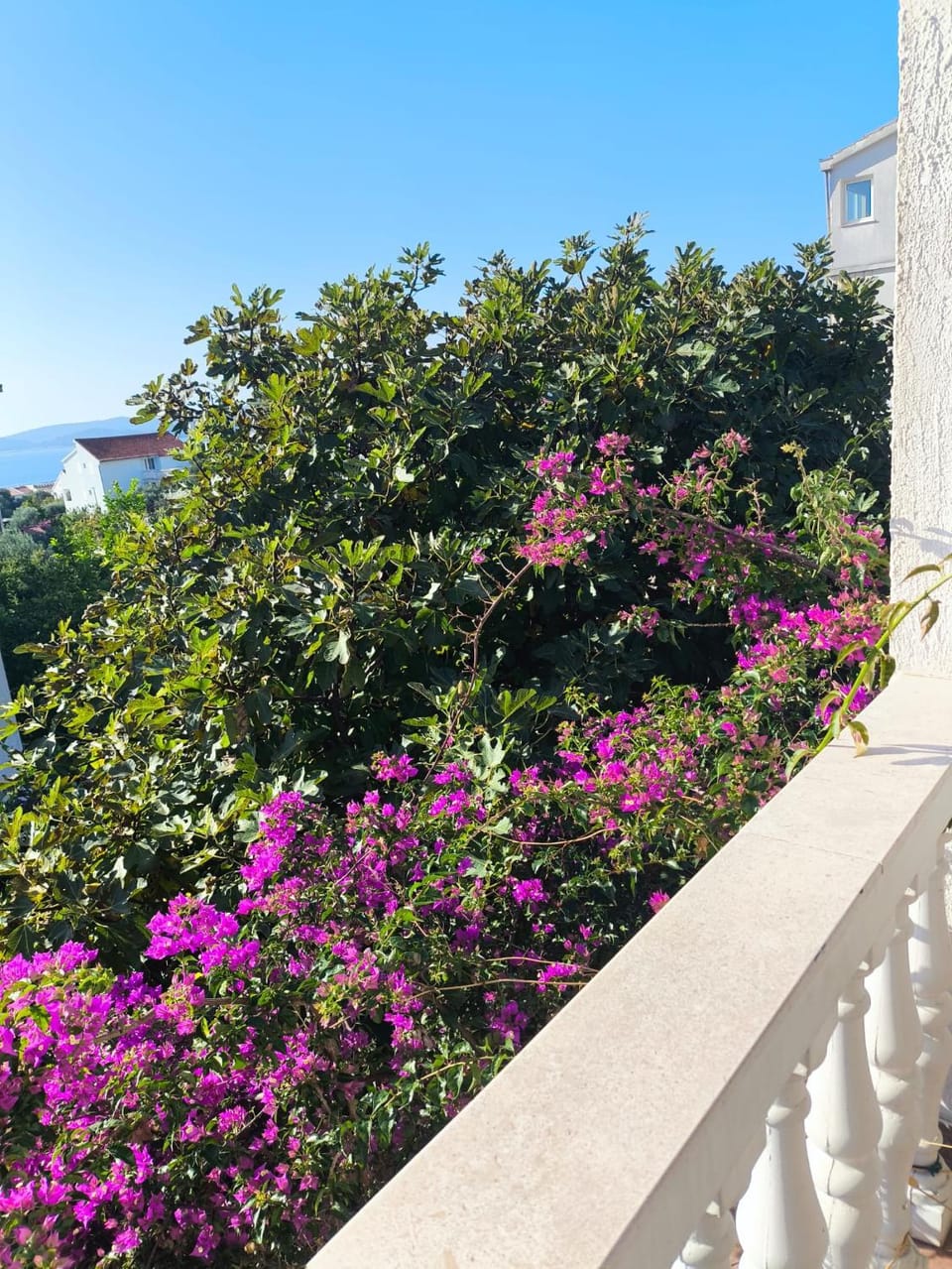 Zusy Apartment in Dubrovnik-Neretva County