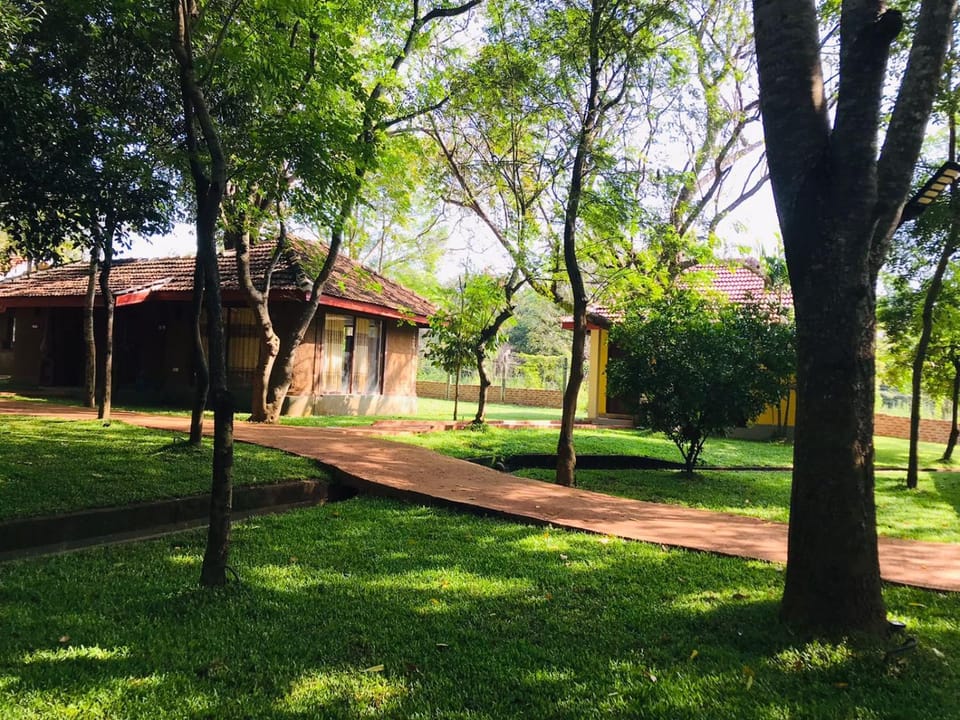 Natural landscape, Garden