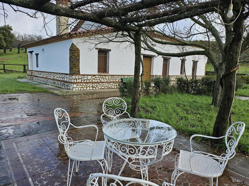 Patio, Garden, Garden view