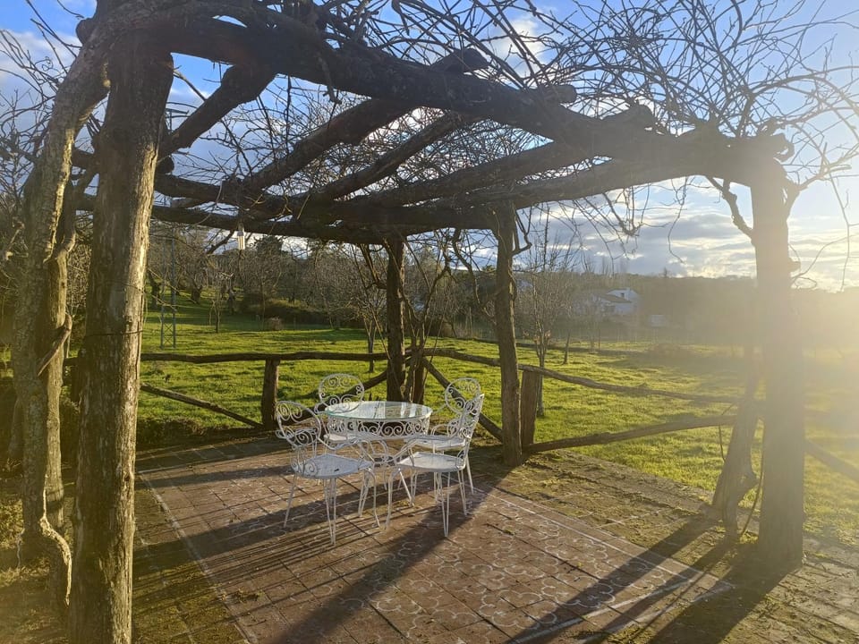 Natural landscape, Garden, Dining area, Garden view