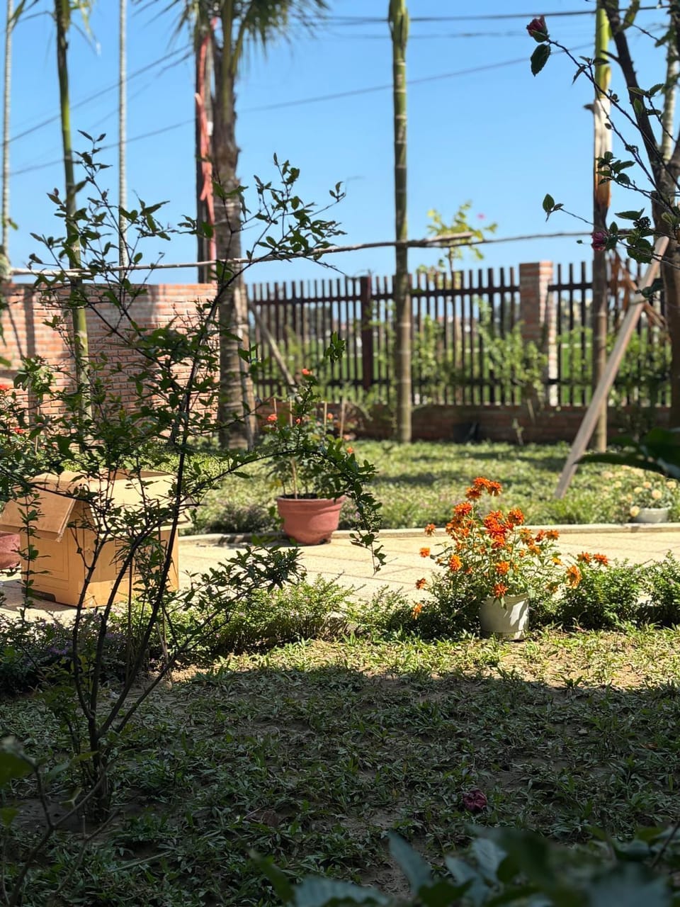 Sol Garden Hoi An- Luxurious Private 4BR villa Ricefields view Villa in Hoi An